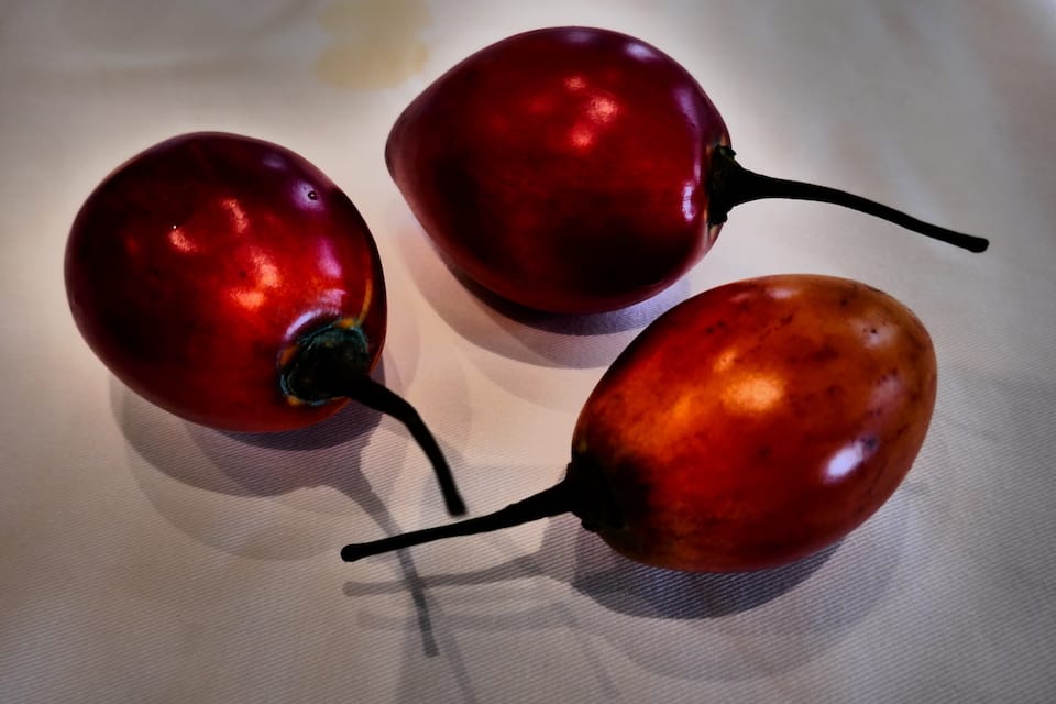 tomate de arbol famous foods ecuador