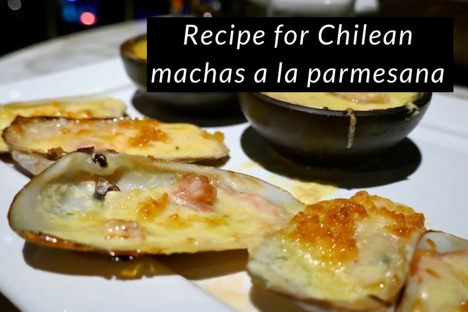 Recipe for Chilean machas a la parmesana
