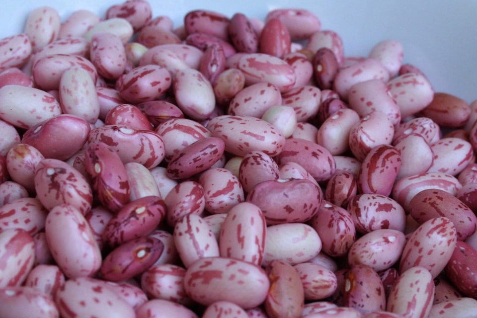 Cranberry beans for Chilean Porotos granados recipe
