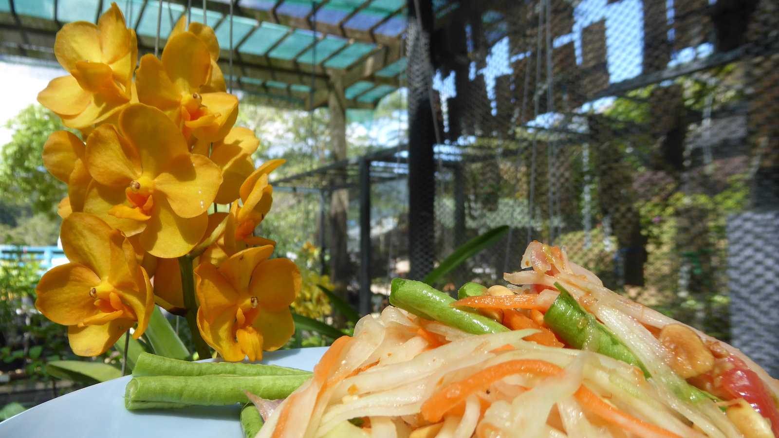 Som Tam is Thailand's most popular salad, and a fiery mix of spicy, sweet, savory and sour flavors